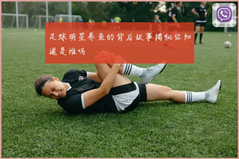 足球明星养鱼的背后故事揭秘你知道是谁吗