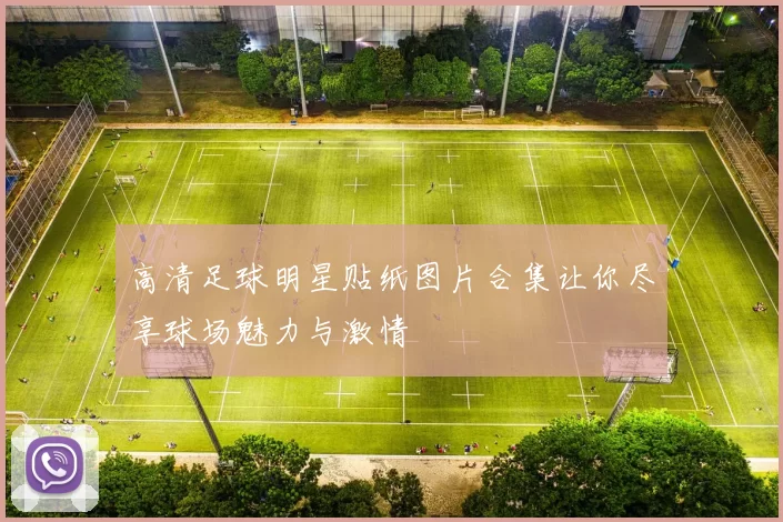 高清足球明星贴纸图片合集让你尽享球场魅力与激情