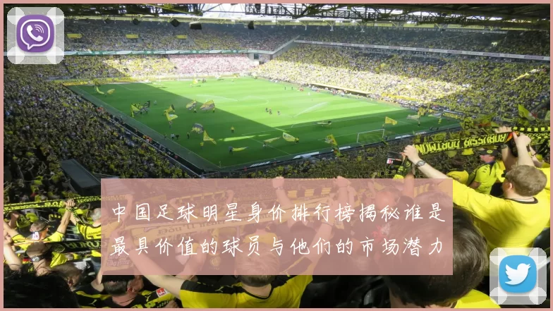 中国足球明星身价排行榜揭秘谁是最具价值的球员与他们的市场潜力