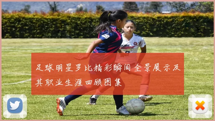 足球明星罗比精彩瞬间全景展示及其职业生涯回顾图集