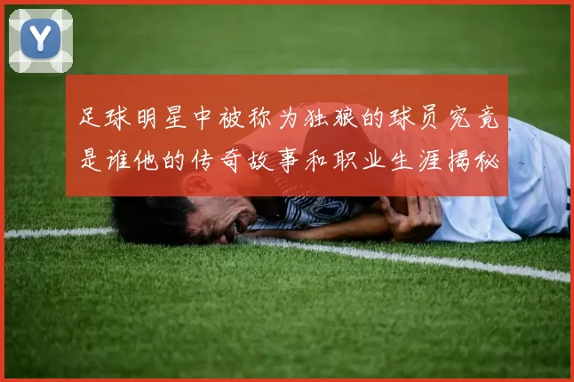 足球明星中被称为独狼的球员究竟是谁他的传奇故事和职业生涯揭秘