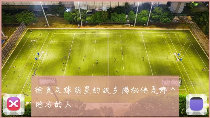 徐良足球明星的故乡揭秘他是哪个地方的人
