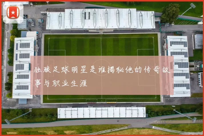 独狼足球明星是谁揭秘他的传奇故事与职业生涯