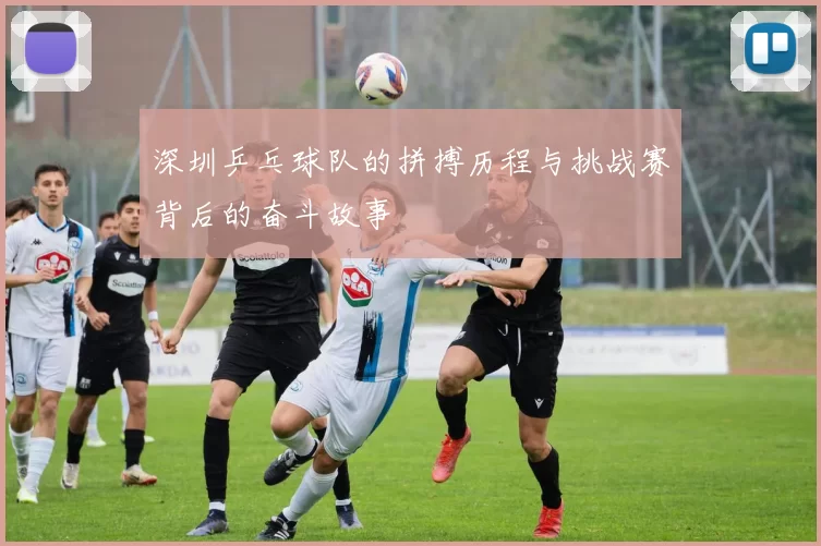 深圳乒乓球队的拼搏历程与挑战赛背后的奋斗故事
