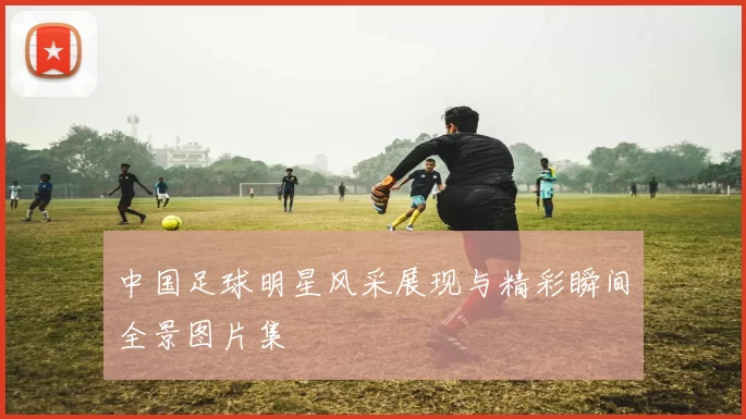 中国足球明星风采展现与精彩瞬间全景图片集