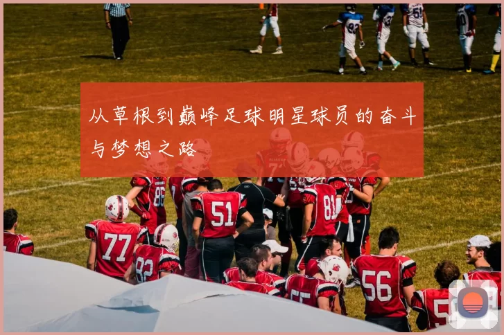 从草根到巅峰足球明星球员的奋斗与梦想之路