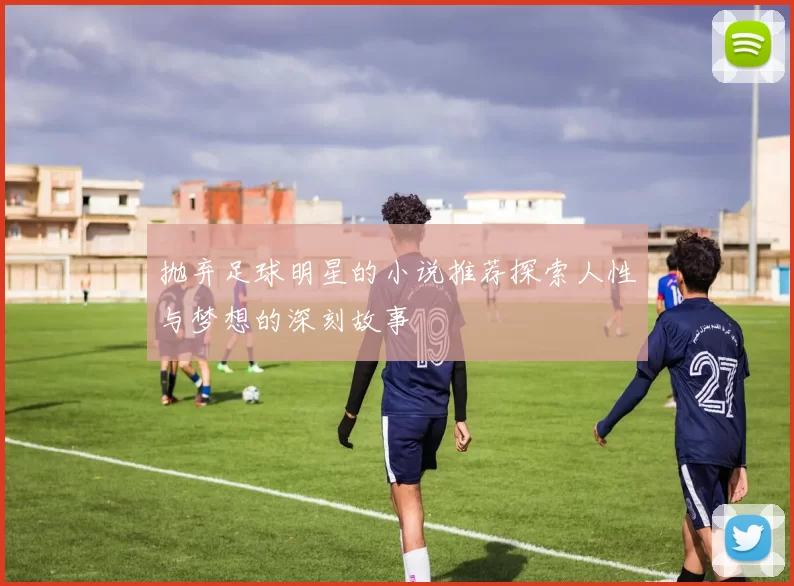 抛弃足球明星的小说推荐探索人性与梦想的深刻故事