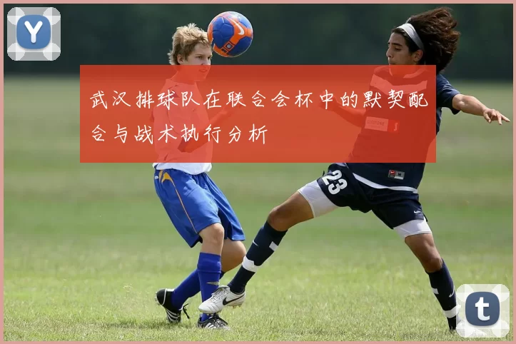 武汉排球队在联合会杯中的默契配合与战术执行分析