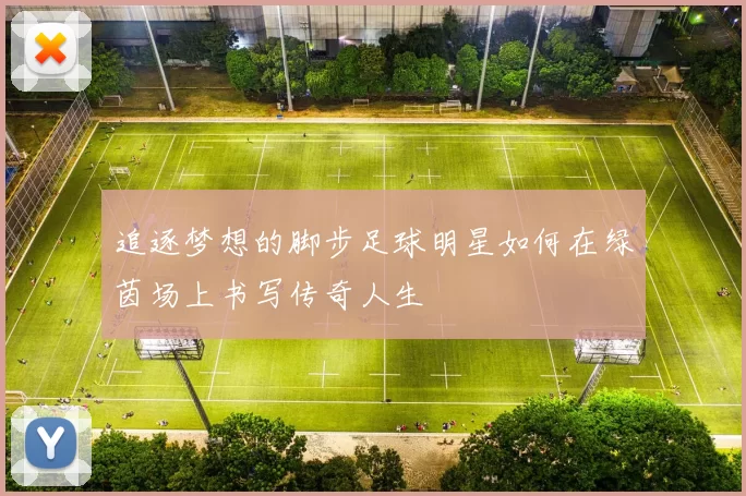 追逐梦想的脚步足球明星如何在绿茵场上书写传奇人生