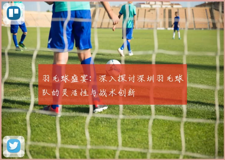 羽毛球盛宴：深入探讨深圳羽毛球队的灵活性与战术创新