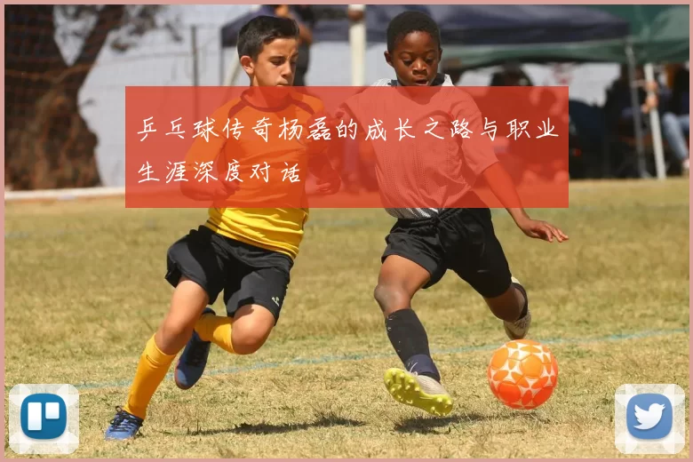 乒乓球传奇杨磊的成长之路与职业生涯深度对话
