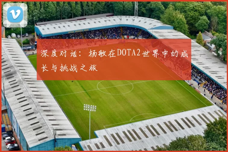深度对话：杨敏在DOTA2世界中的成长与挑战之旅
