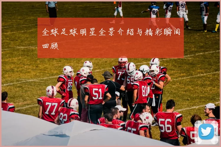 全球足球明星全景介绍与精彩瞬间回顾