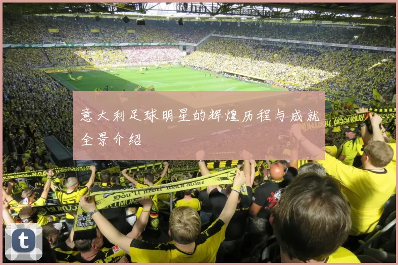 意大利足球明星的辉煌历程与成就全景介绍