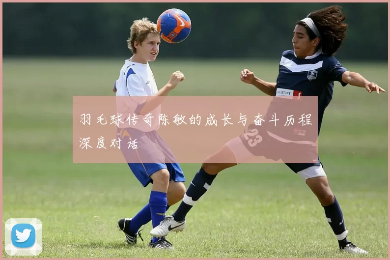 羽毛球传奇陈敏的成长与奋斗历程深度对话
