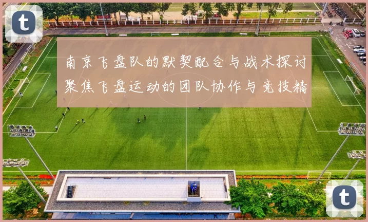 南京飞盘队的默契配合与战术探讨聚焦飞盘运动的团队协作与竞技精神