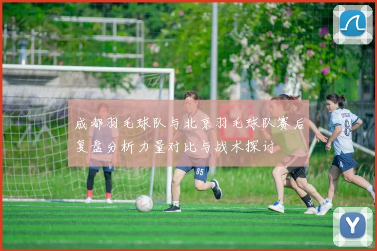 成都羽毛球队与北京羽毛球队赛后复盘分析力量对比与战术探讨